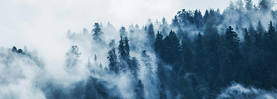 团队成员担任省、市级知识产权专家库专家及调解员