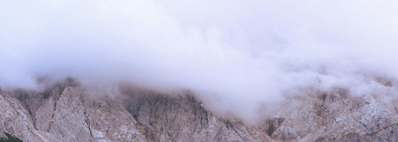 “多证”复合团队
提供“法律+技术”的无缝衔接服务