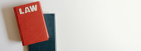 法律+心理双重专业